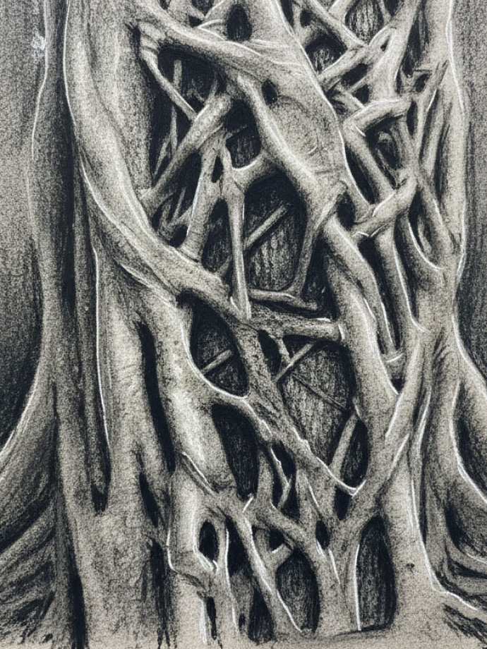 Image for Natural Abstraction: Dramatic Tree Trunks in Charcoal Workshop