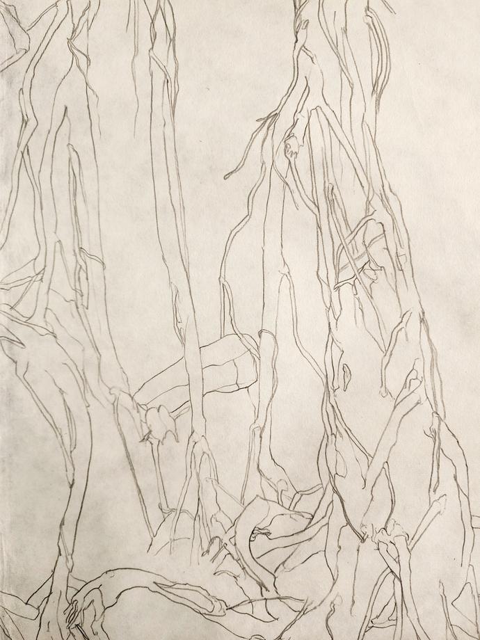 Image for The Art of Slow Drawing