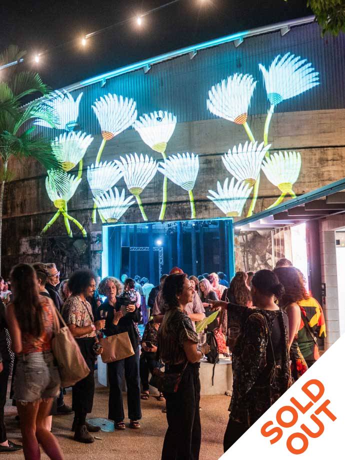 Cairns Indigenous Art Fair (CIAF) 2026: Opening Night image